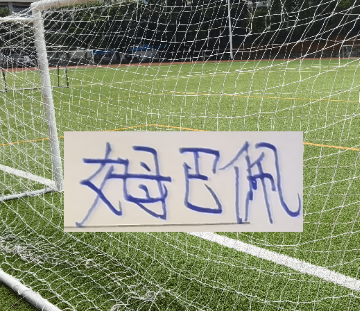 开云体育下载-前申花名将德罗巴入选TOP10中锋！皇马官宣：罗德里戈重伤